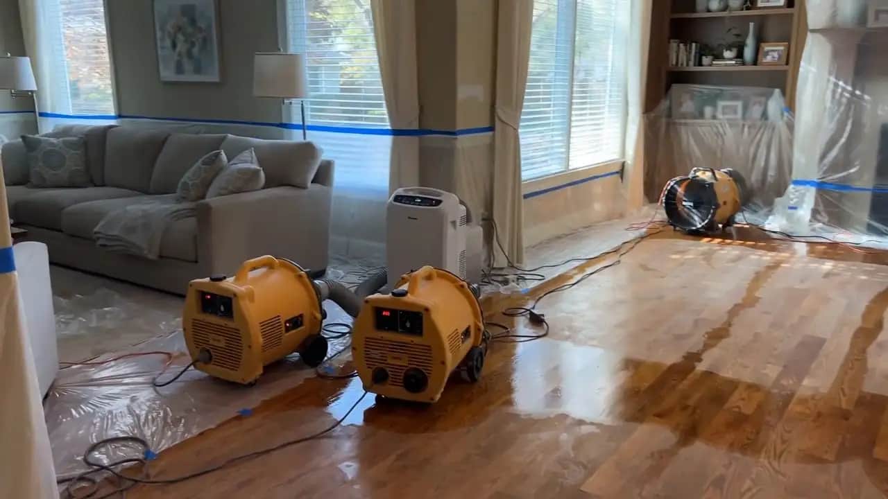 Living room protected with plastic sheeting while air movers and a dehumidifier dry wet hardwood floors, illustrating restoration work in Albuquerque, NM