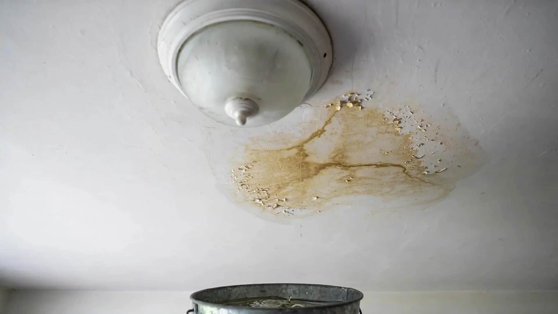 Water-stained ceiling being checked with a moisture meter in City of Alexandria, VA