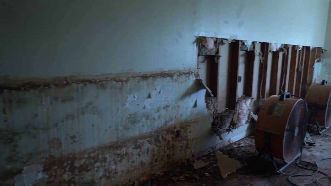 Flood-damaged wall with a water line, drywall cut open to the studs, and drying fans, illustrating restoration work in Albuquerque, NM