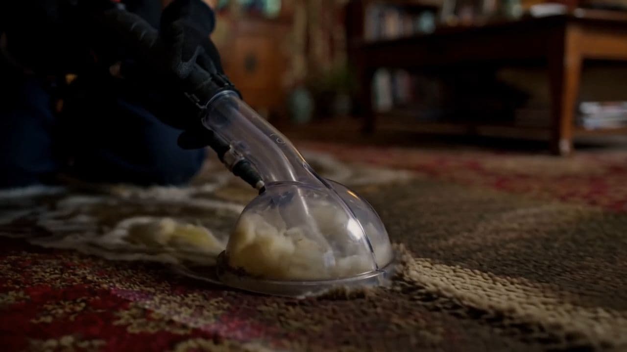 Clear extraction wand pulling water out of a soaked area rug